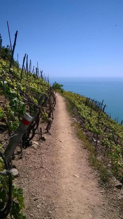 Creuza De Cinque Terre Apartment Volastra Ngoại thất bức ảnh